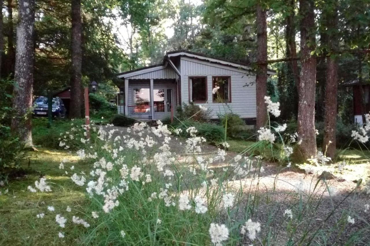 Chalet Siesta Is Rust & Natuur In Durbuy - Barvaux-Sur-Ourthe Zewnętrze zdjęcie