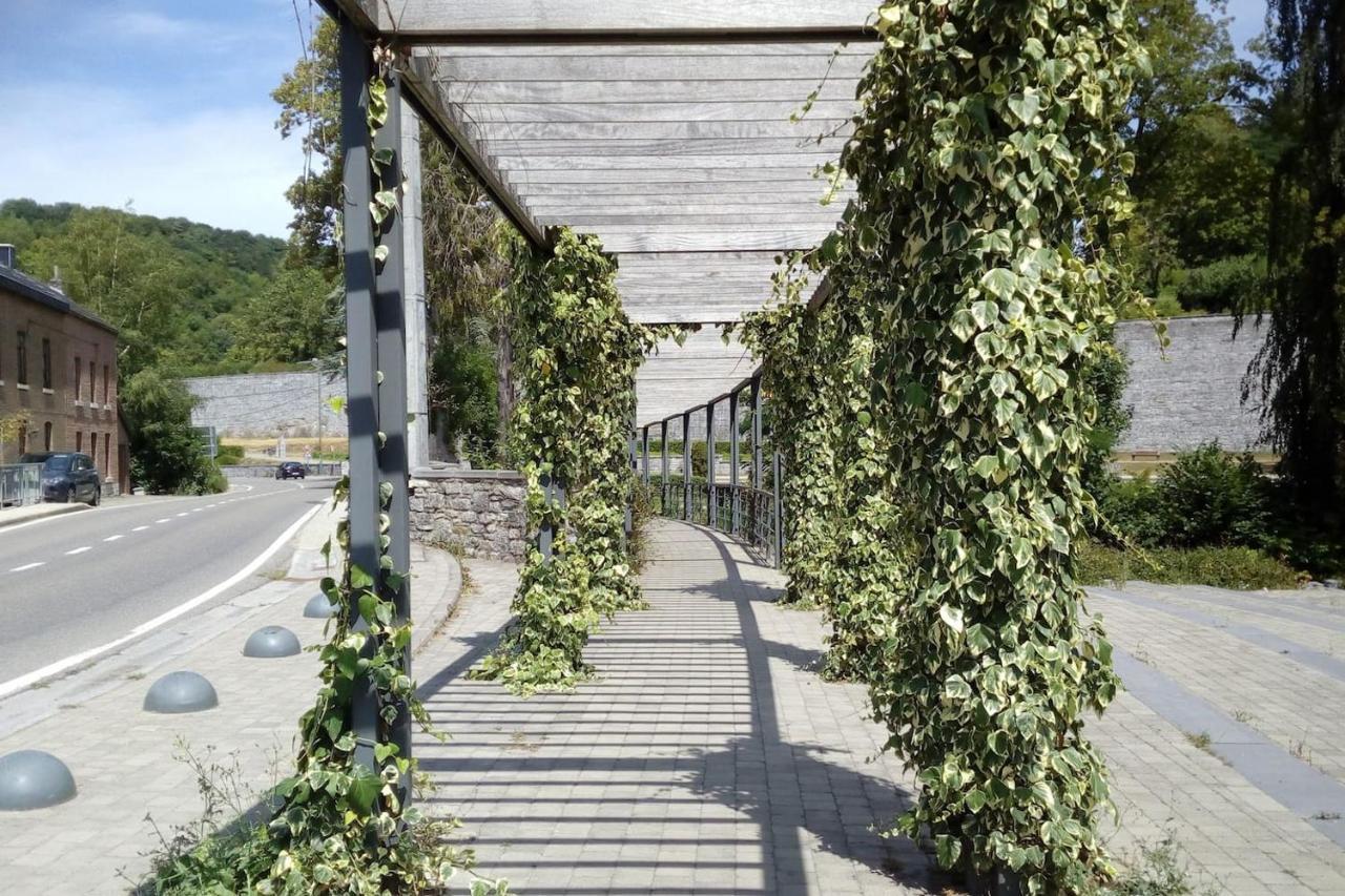 Chalet Siesta Is Rust & Natuur In Durbuy - Barvaux-Sur-Ourthe Zewnętrze zdjęcie